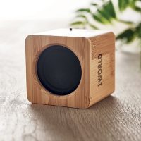 3W Wooden Speakers