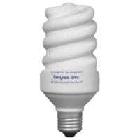 Low Energy Light Bulb Stress Toys
