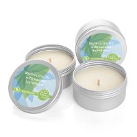 100g Natural Wax Candle in a Tin