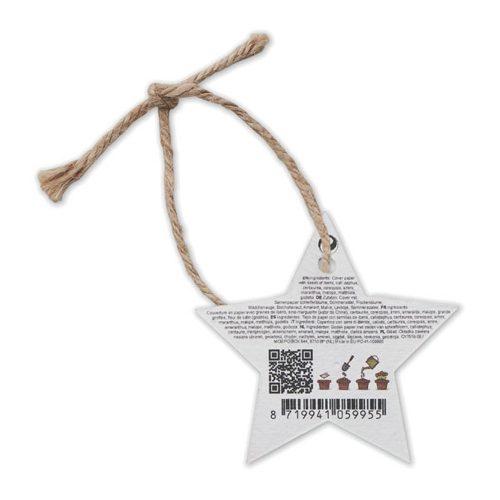 Seed Paper Christmas Ornament Star Back