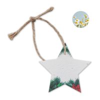 Seed Paper Christmas Ornament Star
