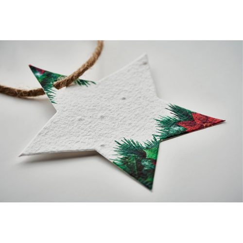 Seed Paper Christmas Ornament Star View 2