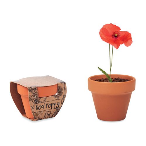Terracotta Pot With Poppy Seeds Main