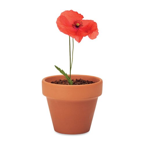 Terracotta Pot With Poppy Seeds View 3