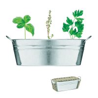 Zinc Tub With 3 Herb Seeds