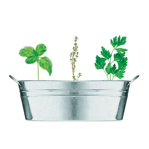 Zinc Tub With 3 Herb Seeds View 3