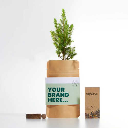 Grow Your Own Christmas Tree Pouch Main